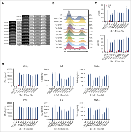 Development of tandem CARs. (A) Schematic diagram of the recombinant lentiviral vectors encoding the prototype anti-CD19 CAR (CD19 CAR), anti-CD20 CAR (CD20 CAR), and TanCARs generated in this study. (B) Flow cytometry analysis showing the expression levels of CARs encoded by the indicated constructs. Graphs are representative of 3 independent experiments. (C) Cytotoxic activity of TanCAR, CD19 CAR, and CD20 CAR T cells using 24-hour or 48-hour CytoTox 96 Non-Radioactive Cytotoxicity Assays with Raji cells or K562 cells at an E:T ratio of 1:1. *P < .05, TanCAR7 vs CD19 CAR/TanCAR8; P < .01, TanCAR7 vs TanCAR2/TanCAR4; P < .001, TanCAR7 vs TanCAR1/TanCAR3/TanCAR5/TanCAR6; P < .0001, TanCAR7 vs CD20 CAR (upper panel). *P < .05, TanCAR7 vs CD19 CAR/TanCAR3; P < .01, TanCAR7 vs TanCAR2/TanCAR4/TanCAR5/TanCAR6; P < .001, TanCAR7 vs CD20 CAR/TanCAR1 (lower panel). (D) Cytokine production by CD19 CAR, CD20 CAR, and TanCAR7 T cells cocultured with Raji or K562 cells at an E:T ratio of 1:1, as measured by enzyme-linked immunosorbent assay. All data are mean ± standard deviation. Experiments were repeated with 3 pools of donor-derived T cells (n = 3). 2-tailed unpaired 2-sample Student t test. NT, control nontransduced T cells. IFN-γ, interferon-γ; NT, nontransduced; TNF-α, tumor necrosis factor-α.