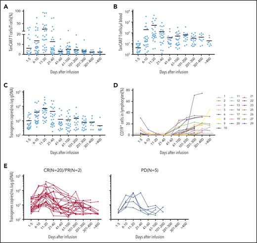 Expansion of peripheral blood CAR T cells and B-cell recovery. Percentage (A) and absolute number (B) of circulating TanCAR7 T cells, as determined by flow cytometry, and transgene copy number (C), as determined by qPCR. Horizontal solid lines show the mean at each time point. (D) Percentage of CD19+ cells in lymphocytes in blood. Red dotted line is 3%. (E) Individual concentration-time profiles in responding patients (left panel) and in nonresponding patients (right panel). gDNA, genomic DNA.