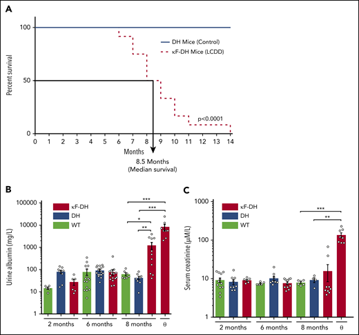 Survival analysis and kidney function in κF-DH mice. (A) Kaplan-Meier overall survival analysis of κF-DH mice (n = 12) compared with DH mice (n = 10). Note the short 8.5-month median survival for κF-DH mice compared with DH mice (all alive at 14 months). Urine albumin (B) and serum creatinine levels (C) in 2- to 8-month-old κF-DH, DH, and WT mice and in κF-DH mice at humane end point (ɵ). Urine albumin in κF-DH mice started to increase at 8 months, whereas a strong increase of serum creatinine appeared only in unhealthy mice. Survival data were analyzed using log-rank (Mantel-Cox) test, and comparisons between 2 groups were calculated using the nonparametric Mann-Whitney test. Means ± standard error of the mean, and only significant P values are indicated. *P < .05, **P < .01, ***P < .001.