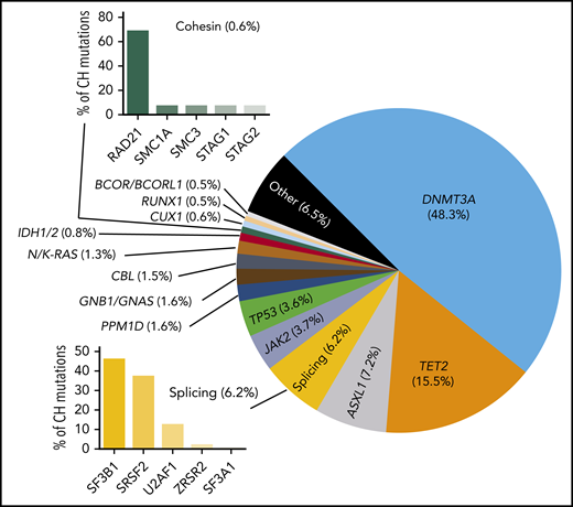 Proportion of common CH mutations in individuals in which a driver can be identified. These vary from study to study, but the general proportions are indicated.