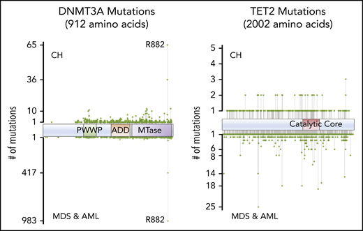 Positions of common variants in DNMT3A and TET2, comparing CH and AML/myelodysplastic syndrome (MDS).
