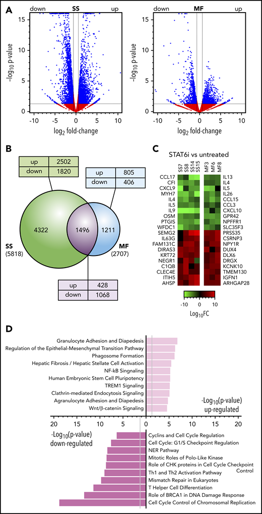 The effect of STAT6 inhibition on transcription in MF and SS tumor samples. (A) Volcano plots comparing gene expression in AS1517499-treated for 48 hours vs untreated MF skin tumors (n = 3) and blood SS cell samples (n = 4). FC, fold change. Blue dots and lines identify the genes scored as differentially expressed (Log2FC > ±0.58 and P < .05). (B) Venn diagram showing the relationship between numbers of DEGs in MF or SS samples after treatment with STAT6 inhibitor or medium alone. The total number of DEGs in SS or MF is given in parenthesis. The number of DEGs unique to SS or MF or shared between them are shown within the diagram; the numbers of genes that were upregulated (up) or downregulated (down) in MF/SS after STAT6 inhibition are also indicated. (C) Heat maps showing a selection of the top DEGs after STAT6 inhibition in individual SS or MF tumor samples. (D) Pathway analysis by Ingenuity of the most significant DEGs commonly up- or downregulated in MF and SS samples after STAT6 inhibition.