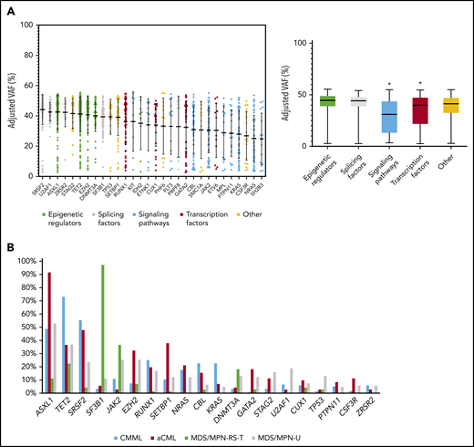 Recurrent gene mutations in MDS/MPN. (A) Distribution of adjusted VAFs across recurrently mutated genes individually (left) or grouped according to their functional category (right). The median-adjusted VAF of signaling genes was significantly lower than that of epigenetic regulators (P < .0001), splicing factors (P < .0001), transcription factors (0.0007), and other genes (P < .0001). The median-adjusted VAF of transcription factors was significantly lower than those of the epigenetic regulators (P < .0001) and splicing factors (P < .0001). (B) Bar plot showing the frequency of recurrently mutated genes among the different MDS/MPN subtypes.