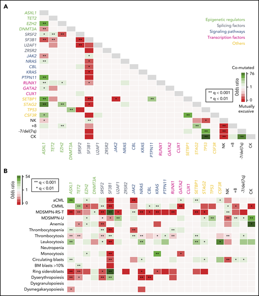Genotype-phenotype correlations. (A) Pairwise associations among recurrently mutated genes and cytogenetic abnormalities. Significant associations (adjusted P-value q < .05) are colored coded by odds ratio, where red depicts mutually exclusive gene pairs and green depicts gene pairs that are comutated more than expected by chance. Gene names are color coded according to their functional category. (B) Pairwise associations among recurrently mutated genes and hematological parameters. Significant associations (adjusted P-value q < .05) are colored by odds ratio, where green represents genotype-phenotype–positive associations and reds depict negative associations. NK, normal karyotype.