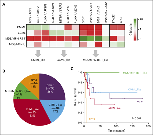 Molecular signatures in MDS/MPN. (A) Associations among MDS/MPN subtypes and specific gene combinations. Significant associations (adjusted P-value q < 0.05) are colored by odds ratio, where green depicts positive associations and red depicts negative associations. Gene combinations were used to classify cases of MDS/MPN-U according to molecular profile: CMML-, aCML-, and MDS/MPN-RS-T–like. (B) The proportion of MDS/MPN-U cases, classified according to the molecular profile. (C) Kaplan Meier curves showing the overall survival of MDS/MPN-U molecular subtypes.