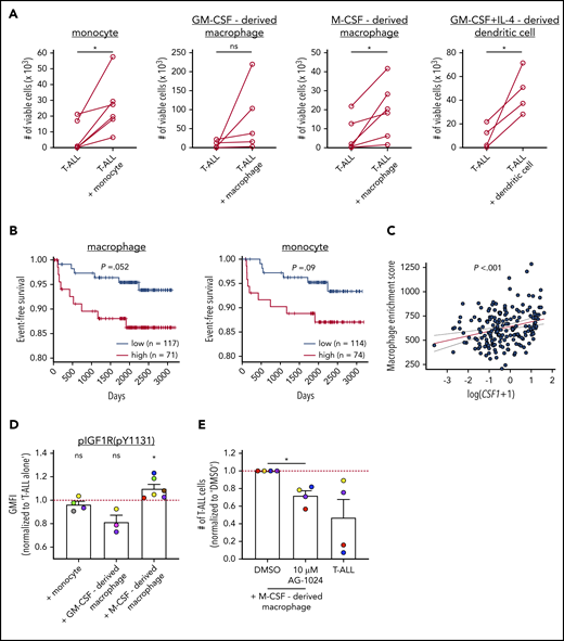 Human myeloid cells promote survival of patient T-ALL cells in vitro, and an elevated macrophage gene signature in patients is associated with worse prognosis. (A) Quantification of viable primary patient T-ALL cells cultured for 6 or 7 days in the presence or absence of monocytes from healthy donor PBMCs or the indicated monocyte-derived myeloid cells. T-ALL viability was assessed by flow cytometry. Data are compiled from 2 to 4 independent experiments using 4 to 6 distinct patient-derived leukemias. Each circle represents the average of 2 or 3 technical replicates. (B) Longitudinal event-free survival is plotted for pediatric T-ALL patients stratified into 2 groups based on their enrichment scores for macrophage or monocyte gene signatures, as indicated. Patient data were analyzed from published datasets from 264 T-ALL patients from the TARGET ALL Phase 2 trial.52 (C) Plot depicts the correlation between log-transformed Csf1 expression values and macrophage enrichment scores in patient samples. The red and dotted lines represent the best-fit line and 95% confidence bands, respectively. Circles represent each patient sample. (D) pIGF1R levels were quantified by flow cytometry in patient T-ALL cells cultured for 3 or 4 days in the presence or absence of PBMC-derived monocytes or the indicated monocyte-derived myeloid cells. Data are normalized to levels in T-ALL cells cultured alone (red line). Bars represent means + SEM from 3 to 5 independent experiments using 3 to 6 distinct color-coded patient-derived T-ALL samples. Circles represent the average of 2 technical replicate wells. (E) Quantification of viable patient T-ALL cells cultured alone or with M-CSF–derived macrophages in the presence of 10 µM AG-1024 (an IGF1R inhibitor) or DMSO. Results were normalized to DMSO-treated cultures in each experiment (red line). Bars represent means + SEM from 3 independent experiments using 4 of the distinct color-coded patient T-ALL samples used for cocultures with M-CSF–derived macrophages in (D). Circles represent the average of 2 technical replicate wells. *P < .05, paired Student t test (A), log-rank test (B), simple linear regression analyses (C), 1-sample Student t test (D), repeated measures 1-way ANOVA with the Bonferroni correction (E). ns, not significant.