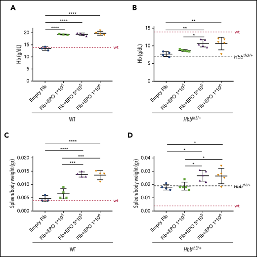 Pharmacokinetic studies in WT and Hbbth3/+ mouse models. Wild type (WT) and β-thalassemic (Hbbth3/+) animals were implanted with murine primary dermal fibroblasts (Fib) overexpressing Epo. Three groups were generated for each genotype (1 × 105, 5 × 105, and 1 × 106 transduced cells). Increased expression of Epo leads to significant increased Hb levels in both WT (A) and Hbbth3/+ (B) mice. As expected, enhanced erythropoiesis was also associated with splenomegaly in WT (C) and worsening of it in β-thalassemic animals (D). Dotted red line indicates mean values for untreated WT mice. Dashed black lines indicates mean values for untreated Hbbth3/+ mice. Bars represent SD. Asterisks refer to statistically significant differences (****P ≤ .001; ***P ≤ .005; **P ≤ .01; *P ≤ .05).