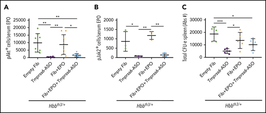 The effect of EPO is modulated by the iron-restrictive properties of Tmprss6-ASO. In Hbbth3/+ animals, administration of Tmprss6-ASO induced reduction of the total amount of splenic proerythroblasts positive for the phosphorylated form of Akt (A) and Jak2 (B) when normalized to the total amount of EPO in circulation. The total number of splenic CFU-Es (expressed in Abs#). followed a similar profile (C). Bars represent SD. Asterisks refer to statistically significant differences (***P ≤ .005, **P ≤ .01; *P ≤ .05).