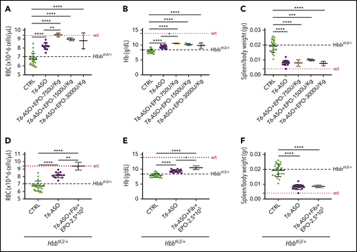 Pretreatment with Tmprss6-ASO followed by a concomitant lower dose of EPO is more effective than Tmprss6-ASO alone in improving anemia in Hbbth3/+ mice. Thalassemic mice receiving cotherapy with Tmprss6-ASO (T6-ASO) and lower dose of EPO (in the form of rhEPO or fibroblasts overexpressing Epo) following a pretreatment with Tmprss6-ASO showed significantly improved anemia when compared with animals receiving Tmprss6-ASO alone. At the end of the treatment we observed increased RBC number, Hb levels and reduced splenomegaly when both a low dose of rhEPO (A-C) or lower dose of fibroblasts overexpressing Epo (D-F) were coadministered with Tmprss6-ASO. Dotted red line indicates mean values for untreated WT mice. Dashed black lines indicates mean values for untreated Hbbth3/+ mice. Bars represent SD. Asterisks refer to statistically significant differences (****P ≤ .001; ***P ≤ .005; **P ≤ .01; *P ≤ .05).