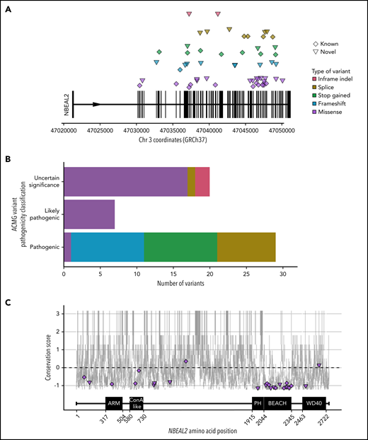 NBEAL2 variants identified in patients with GPS participating in this study. (A) Position of the 56 unique variants relative to NBEAL2 on chromosome 3 (Chr 3) using Genome Reference Consortium human genome build 37 (GRCh37). Vertical black bars represent exons. The color and shape used to represent variants in the legend apply throughout the figure. Inframe indel refers to variants which are inframe small insertions and/or deletions ≤50 base pairs. (B) The frequency of unique variants classified by pathogenicity, according to the American College of Medical Genetics and Genomics (ACMG) guidelines.22 (C) The location of missense variants compared with the amino acid sequence of Nbeal2 and known functional domains (on the x-axis). The y-axis position of the variant is the estimated evolutionary conservation score of the affected residue calculated by using ConSurf.37 A positive score corresponds to lower conservation, and a negative score represents higher conservation. Vertical gray lines represent the range of conservation scores of the 50% confidence interval: the bottom and top of the bar are the 25th and 75th percentile, respectively, of the inferred evolutionary rate distribution.