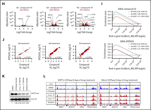 Activity of novel DOT1L inhibitors in leukemia cell lines in vitro. (A) Table of 14 leukemia cell lines used in this study indicating the type of leukemia, oncogenic driver, and 50% inhibitory concentration (IC50) values for EPZ5676, compound 10, and compound 11. IC50 was determined at day 10 after initiation of treatment by counting of viable cells using flow cytometry (dead cell exclusion by 4′,6-diamidino-2-phenylindole staining). Cell lines are sorted by sensitivity to EPZ5676. (B) Dose-response curves of cell lines toward compound 10 (top) and compound 11 (bottom) grouped by EPZ5676-sensitive (red), -intermediate (blue), and -insensitive (gray) cell lines. (C) Cell-surface expression of the myeloid differentiation markers CD11b (top) and Gr-1 (bottom) on murine MLL-AF9 leukemia cells at 3 days of DOT1L inhibitor treatment at the indicated doses. Statistical analysis was performed using unpaired t test. (D) Representative cytospin pictures of murine MLL-AF9 leukemia cells at 6 days of treatment with EPZ5676 (500 nM), compound 10 (100 nM), and compound 11 (100 nM). Fixation and staining was performed using the "Dip Quick Stain Kit" (Jorgensen Labs). (E) Western blot for H3K79me2 and histone H3 (control) in whole cellular lysates of MOLM13 cells treated with 5 different doses of compound 10 or 11 for 3 days. (F-G) Meta-plots of H3K79me2 chromatin immunoprecipitation sequencing (ChIPseq) in MOLM13 cells after treatment with EPZ5676 (1 μM), compound 10 (100 nM), or dimethyl sulfoxide (DMSO) over the gene body of all protein coding genes (F) and MLL-AF9 target genes (G). ChIPseq data were normalized using drosophila spike-in chromatin. (H) Volcano plots of differentially expressed genes (DEGs; red) in MOLM13 cells treated with 100 nM of compound 10 for 3, 6, and 9 days after initiation of drug treatment. Shown in the graph are protein coding genes only. DEGs were called using the DeSeq2 algorithm after alignment of reads using STAR. A gene was considered a DEG if the adjusted P value was <.05. (I) Gene set enrichment analysis (GSEA) of MLL-AF9 target genes after treatment of MOLM13 cells with compound 10 (100 nM; top) or EPZ5676 (1 μM; bottom) for 3, 6, and 9 days. (J) Correlation between the magnitude of changes (displayed as log2-fold change) in DEGs after compound 10 vs EPZ5676 treatment. Pearson correlation was used for statistical analysis. (K) Western blot of H3K79me2 and histone H3 (control) in whole cellular lysates of MOLM13 cells treated with VTP50469, compound 10, compound 11, or EPZ5676 at the indicated doses for 4 days. (L) Representative ChIPseq tracks of DOT1L (left) and Menin (right) at core MLL-AF9 target genes derived from the same experimental setting as shown in panel H. ChIPseq was performed as previously described.5 ***P < .001, ****P < .0001. AML, acute lymphoblastic leukemia; CML, chronic myeloid leukemia; FDR, false discovery rate; MFI, mean fluorescence intensity; NES, normalized enrichment score.