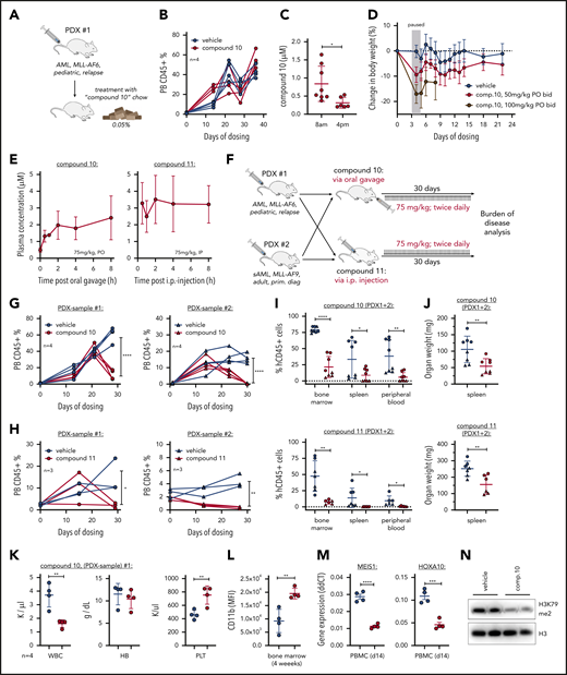 Efficacy of compounds 10 and 11 in PDXs. (A) Schematic of mouse trial using compound 10–supplemented chow (0.05%). (B) Kinetics of peripheral blood (PB) human CD45+ cells measured by flow cytometry during treatment with compound 10 by chow (0.05%). (C) Compound 10 plasma concentrations during oral administration via chow (0.05%) in the morning compared with the afternoon, indicating variant drug levels based on feeding activity of the animals. (D) Assessment of compound 10 toxicity measured by mouse body weight during administration via oral gavage (twice daily) at 50 and 100 mg/kg. Treatment was discontinued between days 3 and 5 because of toxicity observed with the 100 mg/kg dosing. (E) Plasma concentrations of compound 10 (left) and compound 11 (right) after oral and intraperitoneal (IP) administration, respectively. This pharmacokinetic study was performed at 14 days of twice-daily treatment to reflect the drug levels in PB during ongoing administration. Both drugs were solubilized in Kolliphor HS 15 before administration. (F) Schematic of PDX mouse trial using 2 different patient-derived samples and 2 novel DOT1L inhibitors as indicated. Both PDX grafts have been used and published by our laboratory before: PDX 1 (ID:68552; Krivtsov et al5 in 2019) and PDX 2 (ID:17; Wang et al17 in 2017). (G-H) Kinetics of PB human CD45+ cells measured by flow cytometry during treatment with compound 10 (G) or compound 11 (H). Statistics were performed at the end point of the experiment (4 weeks on treatment), comparing treated and nontreated animals using unpaired t test. (I) Human CD45+ cells measured by flow cytometry in the bone marrow, spleen, and PB at the experimental end point (4 weeks on treatment; same animals as shown in Figure 1G-H) after compound 10 (top) or compound 11 (bottom) treatment. (J) Spleen weights (in mg) at the experimental end point after compound 10 (top) or compound 11 (bottom) treatment. (K) Blood cell counts in the PDX 1 cohort treated with compound 10 at the end point of the experiment. (L) CD11b surface expression on human CD45+ cells in the bone marrow of mice treated with compound 10 at the experimental end point. (M) Gene expression of MEIS1 and HOXA10 in PB leukemia cells of PDX 1 cohort mice treated with compound 10 at 14 days after initiation of treatment. Quantitative real-time polymerase chain reaction was performed using validated Taqman assays. (N) Western blot of H3K79me2 and total H3 as control in PDX cells from bone marrow of each of 2 representative mice (PDX 1) treated with compound 10 or vehicle. Statistics for all comparisons were performed using unpaired t test. *P < .05, **P < .01, ***P < .001, ****P < .0001. HB, hemoglobin; PBMC, peripheral blood mononuclear cell; PLT, platelet; sAML, secondary AML; WBC, white blood cell.