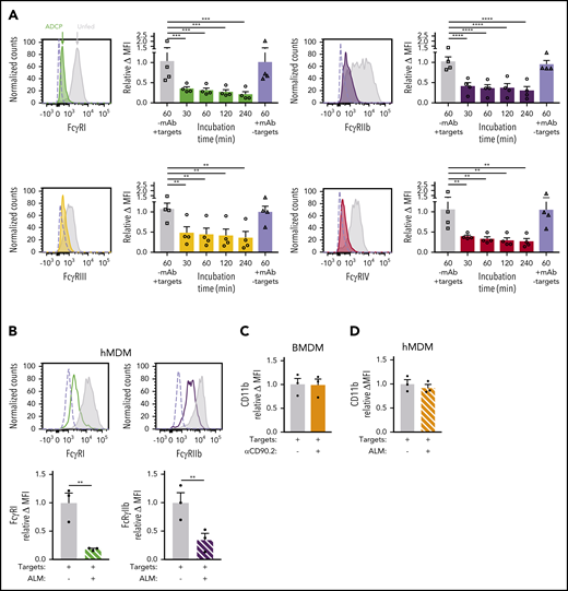 ADCP-induced hypophagia is associated with rapid loss and differential reexpression of surface FcγRs. (A) Surface levels of indicated FcγRs were measured by flow cytometry at various times after coculture with thymocytes ± αCD90.2 to induce hypophagia. Representative histograms (left panels) show surface levels of the FcγRs on unfed (gray) and hypophagic (color) BMDMs after 2-hour coculture with thymocytes ± αCD90.2. Unstained control shown as dashed line. Graphs to the right of each histogram show relative mean fluorescence intensity (MFI) of each FcγR at different times after feeding BMDMs with αCD90.2-opsonized thymocytes. Data shown are mean ± standard error of the mean (SEM; n = 4; P values derived from unpaired 1-way analysis of variance with multiple comparisons correction). Gray and blue bars indicate BMDM surface levels on BMDMs cocultured with thymocytes without mAb or mAb without thymocytes, respectively. (B) Flow cytometric analysis of FcγRI and FcγRIIb surface levels on hMDMs cocultured with CLL cells in the absence (gray) or presence (color) of ALM mAb for 2 hours. Unstained control shown as dashed line. Graphs below show quantification of relative MFI for each receptor. Data shown are mean ± SEM (n = 3; P values derived from unpaired 2-tailed Student t test). (C) Flow cytometric analysis of CD11b surface levels on BMDMs after 2-hour coculture with thymocytes and αCD90.2 (n = 3; P values derived from unpaired 2-tailed Student t test). (D) Flow cytometric analysis of CD11b surface levels on hMDMs after 2-hour coculture with CLL cells and ALM mAb (n = 3; P values derived from unpaired 2-tailed Student t test). (E) BMDMs were cocultured with thymocytes ± anti-CD90.2 for 2 hours to induce hypophagia; targets and free Ab were then washed away and BMDMs cultured in fresh medium for 0 to 48 hours. Surface levels of FcγRI and FcγRIIb were measured by flow cytometry at the indicated times. Unstained control shown as dashed line. Representative histograms (left) and MFI quantification of FcγRI and FcγRIIb levels relative to unfed BMDM (right) are shown. Data shown are mean ± SEM (n = 3-6; P values derived from unpaired 2-tailed Student t test). (F) Relative surface levels of FcγRI and FcγRIIb from panel E for anti-CD90.2 conditions from 0-, 24-, and 48-hour time points were compared. Data shown are mean ± SEM (n = 3-6; P values derived from unpaired 2-tailed Student t test). (G) Representative flow cytometric analysis of FcγRI and FcγRIIb surface levels on KCs isolated from hCD2-iCre-tdTomato mice treated for 6 hours with 25 µg of αCD20 IV (red) or not (blue). Unstained KCs from untreated mice are shown in gray. (H) Quantification of FcγRI and FcγRIIb levels on KCs from f (n = 3 mice per group). **P < .01, ***P < .001, ****P < .0001. ns, not significant.