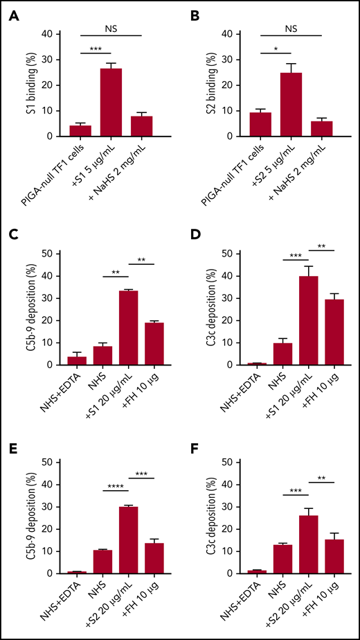 SARS-CoV-2 spike proteins bind to HS and interfere with factor H function. Coincubating 5 µg/mL His-tagged SARS-CoV-2 spike proteins with 2 mg/mL HS solution completely blocked the binding of S1 subunit (A) and S2 subunit (B) to TF1PIGAnull cells. Supplementing NHS with 10 µg of purified factor H protein significantly inhibited C5b-9 (C) and C3c deposition (D) triggered by 20 µg/mL S1 in APC-specific buffer. Addition of 10 µg of purified factor H also significantly inhibited the S2-induced C5b-9 deposition (E) and C3c deposition (F) in APC-specific buffer. All experiments were repeated at least 3 times. Unpaired Student t test P values indicate statistical significance (*P < .05, **P < .01, ***P < .001, ****P < .0001). FH, purified factor H protein; NaHS, HS sodium solution.
