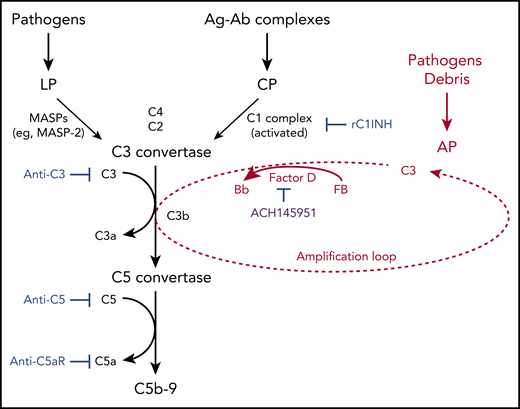 Schematic diagram summarizing clinical trials targeting different aspects of the complement system, registered on www.clinicaltrials.gov as of 3 September 2020. C3 with a cleaved thioester bond (ie, C3b or C3(H2O)) binds factor B. Factor B is then cleaved by factor D to form C3bBb. Properdin (not shown) stabilizes this C3 convertase, which can cleave many molecules of C3 to C3b and thereby amplifies the AP. The factor D inhibitor tested in the paper by Yuan et al (ACH145951) is in purple and is not currently registered. Ag-Ab, antigen-antibody; C5aR, C5a receptor; CP, classical pathway; LP, lectin pathway; MASP, mannan binding lectin-associated serine proteases; rC1INH, recombinant C1-esterase inhibitor. Created with www.biorender.com. For additional information, see Figure 6 in the article by Yu et al that begins on page 2080.