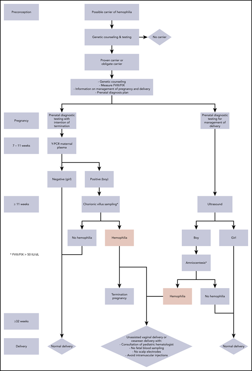 Algorithm for management of (possible) carriers of HA or HB. The approach to prenatal diagnostic testing is shown (left) when the intention is to terminate pregnancy in cases of (severe) hemophilia or (right) if diagnostic testing is performed with the intention of establishing the management of delivery.