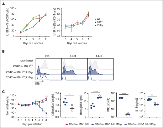 Excess IL-18 acts on expanding T cells to drive virus-induced hyperinflammation. (A) Mice were infected with LCMV-Arm and assessed for IL-18R1 expression on splenic CD8+ and CD4+ T cells. (B) Representative histograms of IL-18R1 expression on splenic NK, CD4+CD44+, and CD8+CD44+ T lymphocytes of uninfected mice of the indicated genotypes. (C) Mice of the indicated genotypes were infected with LCMV-Arm and assessed for weight loss, splenomegaly, anemia, and serum IFNg and IL-18. Dashed horizontal lines represent the median values of infected CD4Cre-Il18r1fl/fl mice. Weight statistical significance compares Il18tg;CD4Cre-Il18r1fl/fl; and Il18tg;CD4Cre+Il18r1fl/fl mice. Data are representative of 2 independent experiments with a minimum of 3 mice per genotype. *Adjusted P < .05, **P < .01, ***P < .001, ***P < .0001 by unpaired t test on Day 8 values. Significance is only shown for comparisons where adjusted P < .05. Error bars represent SEM.