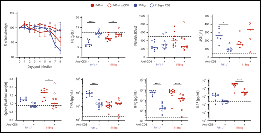 Virus-induced hyperinflammation in Il18tg mice is largely rescued by CD8 T-cell depletion. Mice of the indicated genotypes were treated with CD8-depleting (clone YTS169) or control antibody, infected with LCMV-Arm, and assessed at day 8 for weight loss, spleen weight, hemoglobin (Hb), serum AST, serum TNFα, IFNg, and IL-18. Horizontal dashed lines indicate the median value of uninfected WT control mice. Results are composites of at least 2 independent experiments with a minimum of 3 mice per group.*Adjusted P < .05, **P < .01, ***P < .001, ***P < .0001 by 1-way ANOVA with Tukey post-test on day 8 values. Significance is only shown for comparisons where adjusted P < .05. Error bars represent SEM.