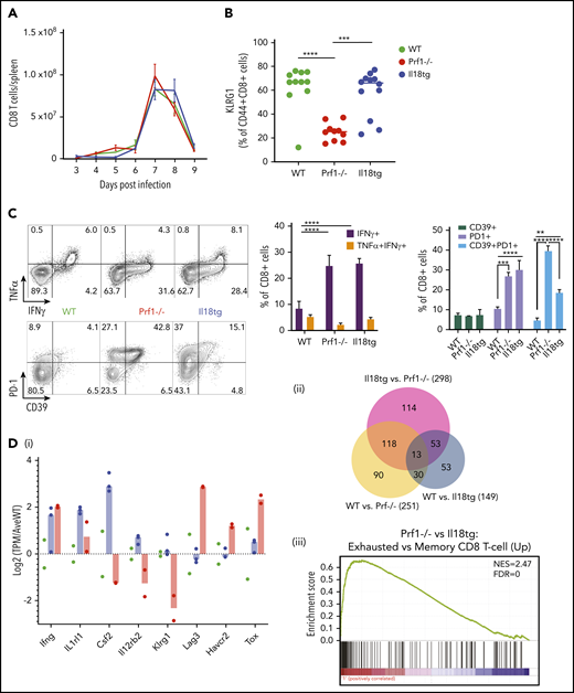 Il18tg mice have enhanced CD8 T-cell activation and IFNg production but gene expression similar to WT mice. Mice of the indicated genotypes were infected with LCMV-Arm and assessed for (A) absolute number of splenic CD8+ T lymphocytes. On day 8 of infection, mice were further evaluated for (B) the percentage of splenic CD8+ T lymphocytes expressing KLRG1+, (C) cytokine expression after stimulation with GP33 peptide, and the percentage of effector CD8 T lymphocytes expressing inhibitory markers. *Adjusted P < .05, **P < .01, ***P < .001, ***P < .0001 by 1-way ANOVA with Tukey post-test. Significance is only shown for comparisons where adjusted P < .05. Error bars represent SEM. Results are representative of at least 2 independent experiments with a minimum of 3 mice per genotype. (D) RNASeq analysis of GP33-antigen specific CD8 T lymphocytes including (i) relative expression of selected genes (normalized to the average expression of WT), (ii) Venn diagram of differentially expressed genes, and (iii) Gene Set Enrichment Analysis (GSEA) of the Prf1−/− vs Il18tg comparison showing the most highly enriched MSigDb C7 (immunologic signature) CD8 T-cell upregulation gene set (from GSE9650). See supplemental Data for complete differential expression and GSEA data. FDR, false discovery rate; NES, normalized enrichment score.