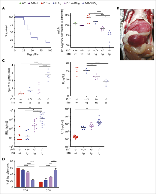 Combined cytotoxic impairment and excess IL-18 leads to spontaneous hyperinflammation. Mice of the indicated genotypes were bred and assessed for (A) survival and body weight. Prf1−/−, Prf1+/−, Prf1+/−;Il18tg, and Prf1−/−Il18tg littermates were compared with littermate sex-matched controls. Similar to published data,3,7 naïve Prf1−/− and WT mice demonstrate no difference in spleen weight, Hb, serum IFNg, or IL-18 (data not shown). WT and Il18tg mice were littermates, and their weights were compared with age- and sex-matched Prf+/− controls. (B) hepatosplenomegaly in a 5-week-old Prf1−/−Il18tg mouse. (C) Spleen weight, Hb, serum IFNg, and IL-18. (D) percentage of splenic T cells in the indicated genotypes. *Adjusted P < .05, **P < .01, ***P < .001, ***P < .0001 by 1-way ANOVA with Tukey post-test. Significance is only shown for comparisons where adjusted P < .05. Error bars represent SEM. Results are a composite of 2 independent experiments (weight, spleen weight, and Hb) and 3 independent experiments (serum cytokine measurements).