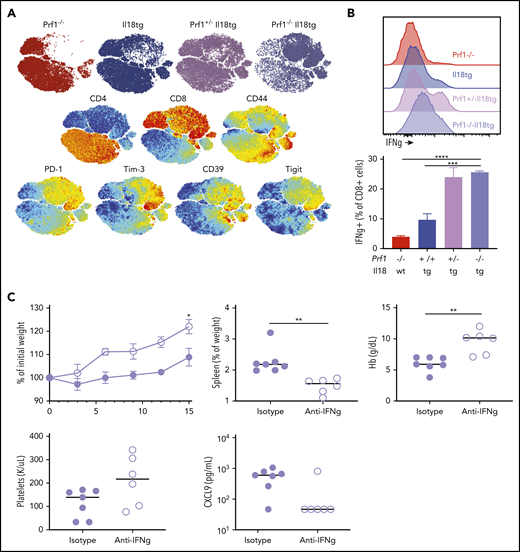 Combined cytotoxic impairment and excess IL-18 leads to spontaneous CD8 T-cell activation and IFNg-dependent hyperinflammation. (A) tSNE plot of live splenic T cells from the indicated genotypes. (B) IFNγ production by CD8+ T cells following ex vivo stimulation. (C) Five-week-old Prf1−/−;Il18tg mice were treated with IFNg-neutralizing (clone XMG1.2) or control antibody for 2 weeks and then assessed for weight gain, spleen weight, Hb, platelet count, and serum CXCL9. *Adjusted P < .05, **P < .01, ***P < .001, ***P < .0001 by (B) 1-way ANOVA with Tukey post-test and (C) unpaired t test. Significance is only shown for comparisons where adjusted P < .05. Error bars represent SEM. Results are composites of 2 independent experiments with a minimum of 3 mice per genotype.
