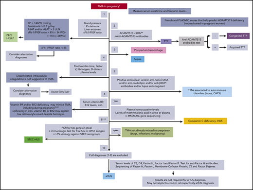 Algorithm for the initial biological workup in women with TMA occurring during pregnancy and the postpartum. Different causes of pregnancy-associated TMA are to be ruled in or out (from top to bottom) before the diagnosis of atypical HUS is made. The most likely diagnoses are shown in full colored rectangles. *TMA in pregnancy is diagnosed based on the presence of a platelet count <100 × 109/L, a hemoglobin level <10 g/dL, LDH >1.5 upper limit of normal, undetectable serum haptoglobin, negative direct erythrocyte antiglobulin test, and (1) the presence of schizocytes on blood smear or (2) TMA features in kidney biopsy. **Cutoff proposed by the working group. May vary according to the diagnostic assay used in each expert laboratory. ***These steps are optional and are performed on a case-by-case basis. ALAT, alanine aminotransferase; ASAT, aspartate aminotransferase; BP, blood pressure; GPI, glycoprotein I; HELLP, hemolysis elevated liver enzymes and low platelet count; LPS, lipopolysaccharide; MMACHC, methylmalonic aciduria and homocystinuria type C protein; PCR, polymerase chain reaction; PlGF, placental growth factor; PE/E, preeclampsia/eclampsia; sFlt1, soluble fms-like tyrosine kinase-1; Stx, Shiga toxin; ULN, upper limit of normal; WG, weeks of gestation.