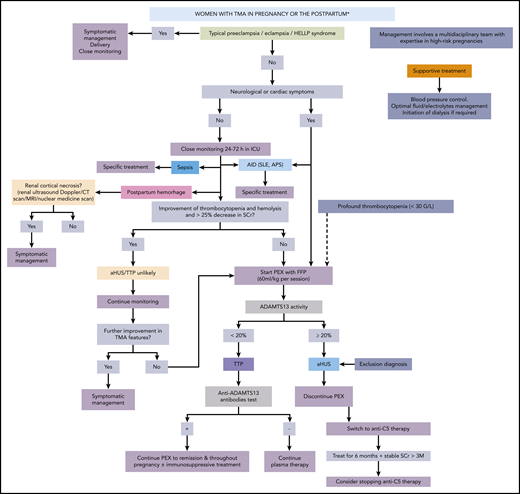 Algorithm for the treatment of TMA occurring during pregnancy and the postpartum period. The most likely diagnoses are shown in full colored rectangles. AID, autoimmune disease; FFP, fresh frozen plasma; ICU, intensive care unit; MRI, magnetic resonance imaging; PEX, plasma exchange; SCr, serum creatinine; SLE, systemic lupus erythematosus.