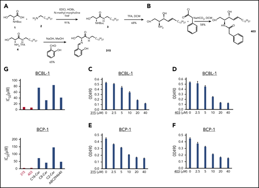 New ceramide analogs 315 and 403 effectively reduce PEL proliferation in a dose-dependent manner. (A-B) The synthetic schemes for ceramide analogs 315 and 403. (C-F) KSHV+ PEL cell lines, BCBL-1 (C-D) and BCP-1 (E-F), were treated with the indicated concentrations of analog 315, 403, or vehicle for 48 hours. The cell proliferation status was then examined using the WST-1 Cell Proliferation Assay (Roche). Error bars represent SD for 3 independent experiments. (G) Comparison of 50% IC50 of different compounds targeting sphingolipid metabolism in PEL cell lines. DCM, dichloromethane; THF, tetrahydrofuran.