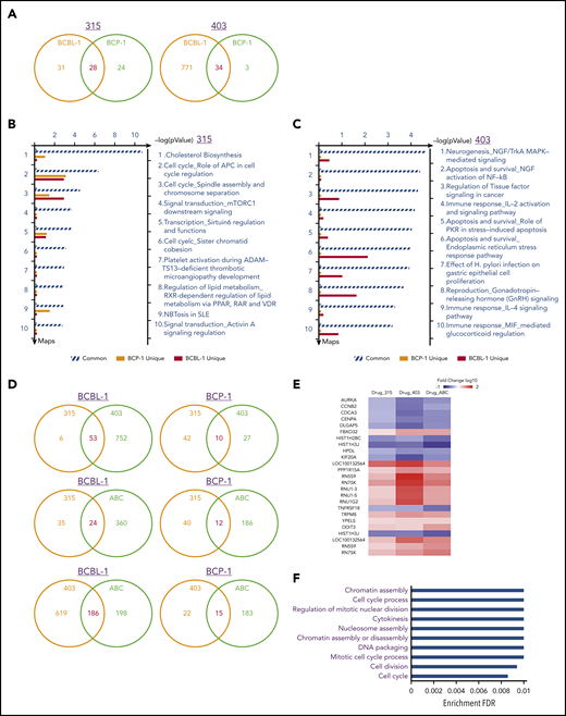 Comparative transcriptome analysis of gene profiles altered among new ceramide analogs and ABC294640 treated PEL cell lines. (A) The Human HT-12 v4 Expression BeadChip (Illumina) was used to investigate the transcriptome change between ceramide analogs (315 or 403) and vehicle-treated BCBL-1 and BCP-1 cells. The intersection analysis of significantly altered genes (expression change ≥ twofold; P < .05) was conducted using Illumina GenomeStudio Software. (B-C) The enrichment analysis of gene profile (common and unique) altered by ceramide analogs treatment was conducted using the Pathway Maps Module of MetaCore Software (Thompson Reuters). (D) The intersection analysis of significantly altered genes (expression change ≥ twofold; P < .05) was conducted as described above. (E-F) Heat map and enrichment analysis of genes commonly altered in new ceramide analogs and ABC294640 (ABC) treated PEL cell lines. IL-2, interleukin-2; MIF, macrophage migration inhibitory factor; NFG, nerve growth factor; PKR, protein kinase R; PPAR, peroxisome proliferator-activated receptors; RAR, retinoic acid receptor; SLE, systemic lupus erythematosus; VDR, vitamin D receptor.