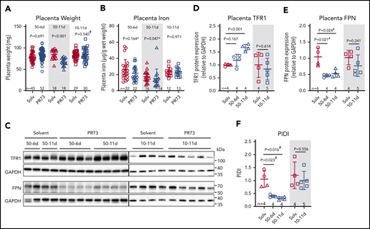 Effects of hepcidin-mediated maternal iron restriction on the placenta. Placentas from the 3 minihepcidin treatment groups from Figure 4 were analyzed at E18.5 for weight and iron content. (A) Placental weight was used as a surrogate measure for placental development. (B) Placental nonheme iron content. (C) Western blot of total placental TFR1 and FPN protein for the 50-6d and 50-11d treatment groups (left panel) and 10-11d treatment group (right panel). Quantification of western blot results for TFR1 (D) and FPN (E) protein relative to GAPDH. (F) Calculated PIDI, the ratio of placental FPN to TFR1 protein. Statistical comparisons were performed by 2-tailed Student t test for normally distributed values, 2-tailed Mann-Whitney rank-sum test for nonnormally distributed values (indicated by * following P-values), or 2-tailed t test with Welch’s correction for normally distributed but nonequal variance data sets (indicated by # after the P value).