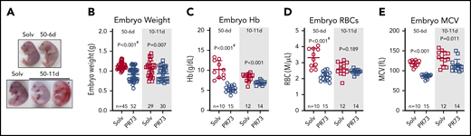 Effects of hepcidin-mediated maternal iron restriction on embryo outcome and hematological parameters. Embryos from PR73- and solvent-injected pregnancies from Figure 4 were analyzed at E18.5. (A) Embryos were visibly anemic, with increased mortality and resorption in the more severe 50-11d group. (B-E) Analysis of embryos from the 50-6d and 10-11d groups. (B) Embryo weight. (C-E) Blood hemoglobin concentration (C), RBC count (D), and mean corpuscular volume MCV (E). Statistical comparisons were performed by 2-tailed Student t test for normally distributed values or 2-tailed t test with Welch’s correction for normally distributed but non-equal variance data sets (indicated by # after the P value).