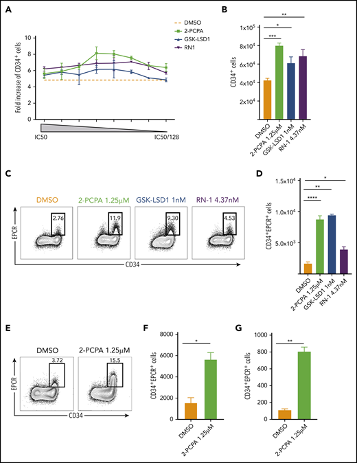 LSD1 inhibition promotes expansion of human HSPCs in vitro. (A) Dose-titration experiment showing the effect of 3 LSD1 inhibitors (2-PCPA, GSK-LSD1, or RN-1) on UCB-derived CD34+ HSPC expansion rate compared with the starting cell number (data from 2 repeats). (B) Total numbers of CD34+ cells obtained after treating 10 000 fresh CD34+ cells with 2-PCPA, GSK-LSD1, or RN-1 at their respective half-maximal inhibitory concentration (IC50)/16 concentration (2-PCPA-1.25 μM; GSK_LSD1-1 nM, RN1-4.37 nM) for 6 days. (C) FACS plots showing the frequency (C) and graph showing the total numbers (D) of CD34+EPCR+ cells obtained after treating 10 000 fresh CD34+ cells with 2-PCPA, GSK-LSD1 or RN-1, at their respective IC50/16 concentration, for 6 days. Data from 3 replicates from 1 of 5 independent experiments with similar results are shown. Frequency (E) and numbers (F) of CD34+EPCR+ cells obtained after treating UCB CD34+CD38−CD45RA−CD90+ cells with 2-PCPA for 6 days. (G) Total numbers of CD34+EPCR+ cells obtained after treating BM-derived CD34+CD38−CD45RA−CD90+ cells with 2-PCPA for 6 days. Data from 3 replicates from 1 of 2 independent experiments with similar results. *P ≤ .05, **P ≤ .01, ***P ≤ .001, ****P ≤ .0001. ns, not significant.