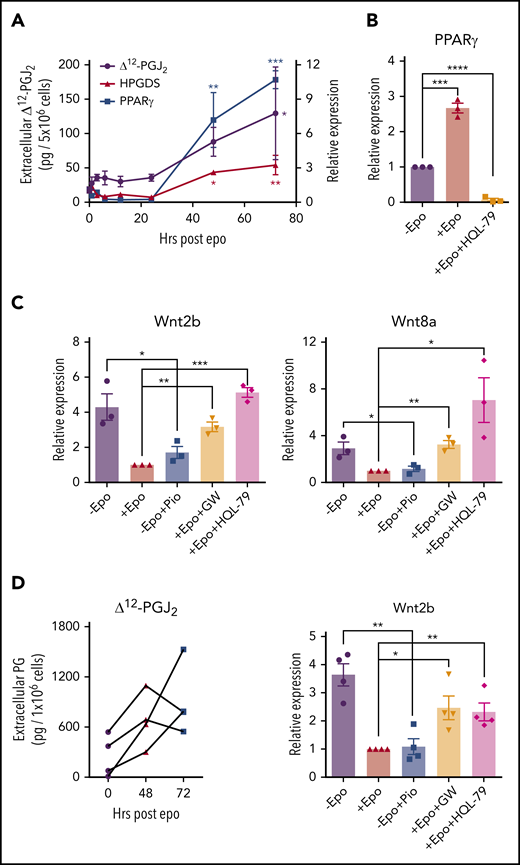 Epo-dependent PPARγ signaling represses Wnt signaling. (A) mRNA expression of HPGDS and PPARγ (right y-axis) and liquid chromatography–tandem mass spectrometry (LC-MS/MS) analysis of extracellular Δ12-PGJ2 (left y-axis) of mouse BMDMs at indicated time points after Epo treatment. One-way analysis of variance (ANOVA) followed by Dunnett’s multiple comparisons. (*) Indicates P values for comparisons between indicated time points and 0 time point; (red *), HPGDS; (blue *), PPARγ; (black*), Δ12-PGJ2 (n = 3 per time point). (B) mRNA expression of PPARγ in mouse BMDMs treated with or without Epo or Epo plus 25 μM HQL-79 (HPGDS antagonist). (C) mRNA expression of Wnt2b (left) and Wnt8a (right) in mouse BMDMs treated with Epo, 1 μM pioglitazone (Pio; PPARγ agonist), 1 μM GW9662 (GW; PPARγ antagonist), or HQL-79, as indicated. (D) LC-MS/MS analysis of extracellular Δ12-PGJ2 of human BMDMs at the indicated time points before and after Epo treatment. Each set of points represents BMDMs derived from an independent donor (left). mRNA expression of Wnt2b in human BMDMs treated with Epo, Pio, GW, or HQL-79 as indicated (right). Student t test (2-tailed). Data represent means ± SEM. *P < .05; **P < .01; ***P < .001; ****P < .0001.