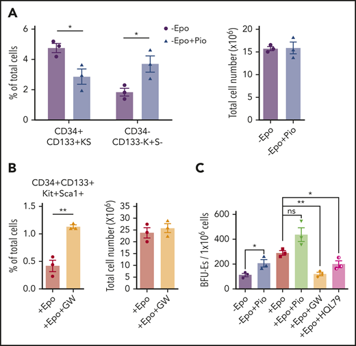 Epo-dependent PPARγ signaling promotes SEP differentiation. Analysis of the effects of manipulating PPARγ signaling in in vitro stress erythropoiesis cultures. Unfractionated bone marrow cells were cultured in SEEM or SEDM with indicated treatments.(A) Flow cytometry analysis of in vitro cultured SEPs in SEEM with or without 1 μM Pio. Percentage of CD34+CD133+KS SEPs and CD34–CD133–K+S– SEPs in total cell population (left). Total cell numbers after culture (right). (B) Flow cytometry analysis of in vitro cultured SEPs in SEDM with or without 1 μM GW. Percentage of CD34+CD133+KS SEPs in total cell population (left). Total cell numbers after culture (right). (C) Stress BFU-E colony assay of in vitro cultured SEPs expanded in SEEM and then treated with Epo, Pio, GW, or HQL-79 as indicated. Student t test (2-tailed). Data represent means ± SEM. *P < .05; **P < .01.