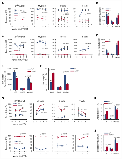 IL27Ra−HSCs and IL27Ra−/− HSCs possess higher self-renewal capacity. (A,C) The percentage of indicated donor-derived cells (overall, myeloid cell, B cell, T cell) in secondary recipients at indicated timepoints (see Methods). (A) N = 8 mice per group, (C) N = 5-6 mice per group; data are shown as mean ± SEM. The gating strategy to generate these line plots are presented in supplemental Figure 1K. (B,D) The lineage distribution of indicated donor-derived peripheral blood cells of secondary recipients at the fourth month. (B) N = 8 mice per group, (D) N = 5-6 mice per group; data are shown as mean ± SEM. The gating strategy to generate these line plots are presented in supplemental Figure 1L. (E) Five 23- to 28-month-old IL27Ra−/− and 6 age-matched WT mice were analyzed for HSCs. This histogram depicts the number of HSCs (CD34− CD150+ KSL), lymphoid-biased HSCs (CD34− CD150middle KSL), and myeloid-biased HSCs (CD34− CD150high KSL) per million bone marrow cells. Data are shown as mean ± SEM. (F) Seven 20- 24-month-old IL27Ra−/− and 8 age-matched WT mice were analyzed for myeloid, B, and T cells. This histogram depicts the percentage of myeloid, B, and T cells in peripheral blood. Data are shown as mean ± SEM. (G-J) Freshly isolated 50 HSCs from either (G-H) 2-month-old IL27Ra−/− mice and age-matched WT mice or (I-J) 18-month-old IL27Ra−/− mice and age-matched WT mice were transplanted into lethally irradiated recipients together with 2 × 105 competitor cells. Three months after transplantation, 2 million bone marrow cells of primary recipients were transplanted into secondary recipients. Chimera in peripheral blood was checked every month until the third month. (G,I) These line plots depict the percentage of donor cell reconstitution in overall (CD45.2+), myeloid (Mac-1+), B (B220+), and T (CD3+) cell every month after transplantation. (H,J) This histogram displays the lineage distribution of donor-derived peripheral blood at the third month. (G-H) N = 5 mice per group, (I-J) N = 5-7 mice per group; data are shown as mean ± SEM.