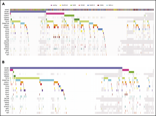 Patterns of the mutations observed in MDS patients reported to the data set of the International Working Group for MDS. (A) Distribution of somatic lesions in the analyzed genes according to the WHO category. Each column represents an individual patient sample. (B) Distribution of somatic lesions in the analyzed genes in patients with MDS-RS with or without SF3B1 mutation. CMML, chronic myelomonocytic leukemia; RA, refractory anemia; RAEB, refractory anemia with excess blasts; RCUD, refractory cytopenia with unilineage dysplasia; unk, unknown.