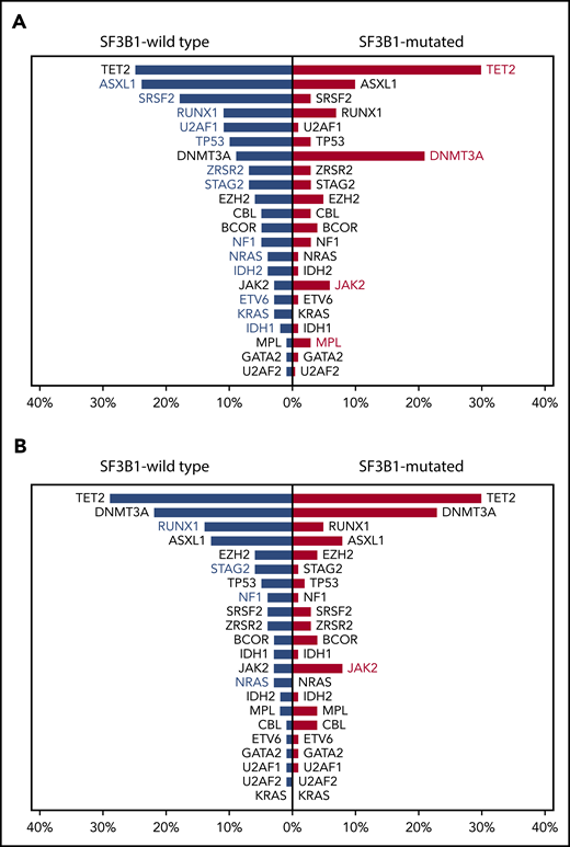 Frequency of cooccurring or mutually exclusive mutated genes in SF3B1-mutated or unmutated MDS in the IWG data set. (A) Most frequent cooccurring or mutually exclusive mutated genes in SF3B1-mutant MDS in the IWG data set. Red and blue bars represent relative frequencies (percentage) of mutated genes in SF3B1-mutated and SF3B1-wild-type MDS, respectively. Red or blue gene labels indicate significantly higher frequencies of the comutated gene in SF3B1-mutated or SF3B1-wild-type MDS, respectively (P values ranging from .019 to <.001). (B) Most frequent cooccurring or mutually exclusive mutated genes in SF3B1-wild-type vs SF3B1-mutant MDS-RS in the IWG data set. Blue and red bars represent relative frequencies (percentage) of mutated genes in SF3B1-wild-type and SF3B1-mutant MDS-RS, respectively. Blue or red gene labels indicate significantly higher frequencies of the comutated gene in SF3B1-wild-type or SF3B1-mutant MDS-RS, respectively (P values ranging from .047 to .002).