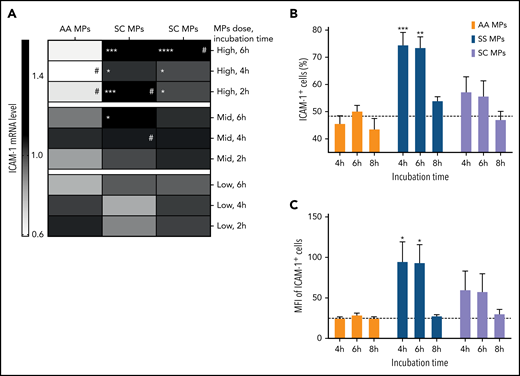 ICAM-1 mRNA and protein levels are increased by SS MPs. (A) Heat map indicating mean endothelial ICAM-1 mRNA level according to the dose of MPs, the incubation time, and the genotype of the subjects. Expression levels are normalized to the controls, without MPs. Flow cytometry analyses of a high dose of MPs and each considered genotype for each incubation time: the percentage of ICAM-1+ cells (B) and their MFI (C). Subjects per group: 9 ≤ n ≤ 12. The dotted lines represent the control level (without MPs) at 4 hours. #P < .05 vs corresponding low dose, *P < .05, **P < .01, ***P < .001, ****P < .0001 vs corresponding AA MP level.