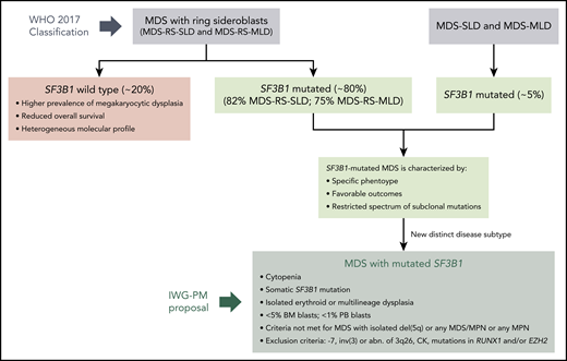 Definition of a distinct MDS disease subtype characterized by somatic mutations in SF3B1. MDS patients with somatic SF3B1 mutations share a common phenotype, with favorable outcomes and a restricted spectrum of subclonal mutations, independently of their WHO 2017 category. Malcovati et al propose a new MDS subtype characterized by SF3B1 mutations, following the classification criteria depicted in the figure. Abn, abnormalities; BM, bone marrow; CK, complex karyotype (≥3 chromosomal alterations); MLD, multilineage dysplasia; MPN, myeloproliferative neoplasms; PB, peripheral blood; SLD, single-lineage dysplasia.