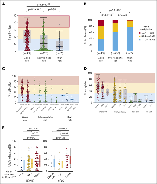 Association between ASNS methylation and chromosomal abnormalities in BCP-ALL samples. (A-B) Association between ASNS methylation and karyotypes in BCP-ALL cases of the NOPHO cohort. P values in (A) a Mann-Whitney U test or (B) χ2 test are indicated. (C-D) Association of ASNS methylation with representative chromosomal abnormalities in BCP-ALL cases of the (C) NOPHO cohort and (D) 3 cohorts. (E) Association of triple trisomies with ASNS methylation in NOPHO (left panel) and CCCS (right panel) cohorts. P values in a Mann-Whitney U test are indicated.