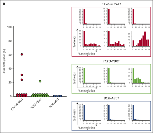 Asns methylation in mouse BCP-ALL models. (A) Asns methylation in leukemic spleen samples from knockin mice with ETV6-RUNX1 (red) and TCF3-PBX1 (green) and transgenic mice with BCR-ABL1 (blue). Right panels demonstrate representative histograms. (B) Methylation status of 6 genes in mouse 6qA1, a syntenic region of human 7q21, in representative leukemic spleen samples from knockin mice of ETV6-RUNX1. (C) Correlation between Asns methylation (vertical axis) and methylation level of 6 genes (horizontal axes) in leukemic spleen samples from knockin mice of ETV6-RUNX1. Correlation coefficients and P values are shown at the top of the panels.