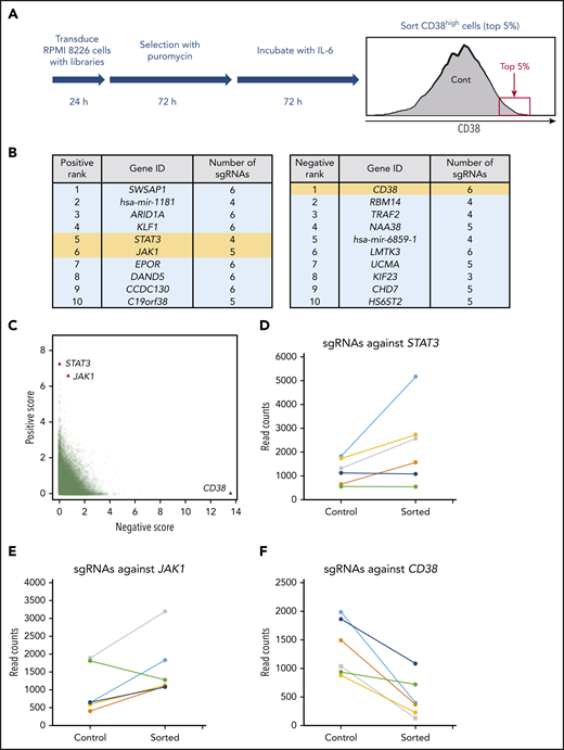 Genome-scale CRISPR-Cas9 knockout screening identifies STAT3 as a repressor of CD38. (A) Flowchart of genome-scale CRIPSR-Cas9 screening in RPMI 8226 cells. (B) List of top 10 positive (left panel) and negative (right panel) ranked genes; positive represents sgRNAs enriched in sorted cells compared with control cells, and negative the opposite. STAT3, JAK1, and CD38 are highlighted in yellow. (C) Enrichment of specific sgRNAs in CD38-high fraction. Each dot specifies 1 sgRNA. (D-F) Read counts of sgRNAs against STAT3 (D), JAK1 (E), and CD38 (F) in control and sorted cells.