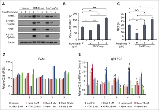 JAK inhibitor ruxolitinib upregulates CD38 expression and enhances DARA-mediated ADCC against MM cells. (A) RPMI 8226 cells were treated with solvent control or ruxolitinib (Ruxo; 1, 5 µM), in the absence or presence of BMSC-sup or IL-6 (1 ng/mL) for 48 hours. Whole-cell lysates were subjected to immunoblotting using indicated antibodies. (B-C) RPMI 8226 cells were treated with solvent control or ruxolitinib (1, 5 µM), in the absence or presence of BMSC-sup for 72 hours, and then subjected to flow cytometric analysis for CD38 expression (B) and DARA-mediated ADCC assay (C). (D) BMMCs of 5 MM patients were treated with solvent control, ruxolitinib (1, 5, 10 µM), ATRA (5, 25 nM), or panobinostat (Pano; 1, 5 nM) for 120 hours. After incubation, CD38 expression on 7-AAD− and CD138+ MM cells was measured by flow cytometry. (E) CD138+ MM cells separated from BMMCs of 5 MM patients were treated with solvent control, ruxolitinib (1, 5, 10 µM), ATRA (5, 25 nM), or panobinostat (1, 5 nM) for 120 hours. After incubation, relative CD38 mRNA level was assessed by qRT-PCR. Relative CD38 MFI was calculated in comparison with MFI of control. Data are shown as mean plus or minus standard error of the mean. *P < .05; **P < .01; ***P < .001.