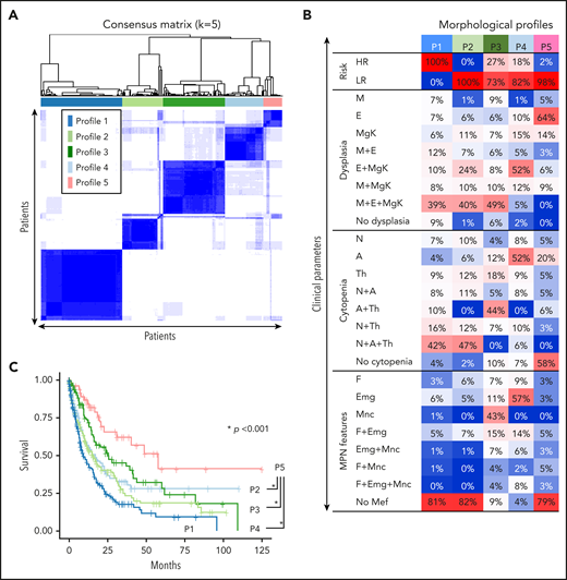 Morphologic profiles. (A) Consensus clustering applied to the discovery cohort reveals 5 morphologic profiles. (B) Distributions of each morphologic feature among the 5 morphologic profiles (P). Color is used to describe the prevalence of individual traits within each of the 5 profiles, with red depicting high and blue depicting low prevalence, respectively. (C) Kaplan-Meier curves for overall survival among patients identified by the 5 morphologic profiles. Survival differs significantly among the 5 profiles when evaluated using the log-rank test (*P < .05), demonstrating that the morphologic profiles confer prognostic utility. A, anemia; E, erythoroid dysplasia; Emg, elevated megakaryocytes; F, fibrosis; M, myeloid dysplasia; Mef, myelofibrosis; MgK, megakaryocytic dysplasia; Mnc, monocytosis; N, neutropenia; P, morphologic profiles; Th, thrombocytopenia.