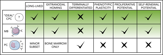 Features that define MBs as lymphoma COO. Predicted characteristics of MCD/C5 and PENLs clonal precursor cells compared with normal MB and PC defining traits. Given the heterogeneous nature of these populations, particular subclasses of MBs and PCs may deviate to some extent from the norm represented here.