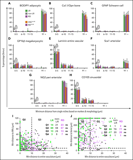 HSCα-cats, dormant LR HSCs, and nondormant non-LR HSPCs all have similar BM niche signatures. (A-H) Comparative niche distance quantification of LR and non-LR HSPCs in femurs of DOX-treated SCL-tTA;H2B-GFP mice or of HSCα-cats in α-catulinGFP/+ reporter mice. (A-C) BODIPY+ adipocytes (A; n = 4 each); Col.1+/Opn+ bone surfaces (B; n = 13 each); and GFAP+ Schwann cells (C; n = 4 each) were not physically associated with HSPCs. (D-G) Some LR, non-LR HSPCs and HSCα-cats located randomly near MKs (D; LR/non-LR, n = 4; HSCα-cat, n = 12). Most were randomly associated with laminin+ vasculature (E; LR/non-LR, n = 7; HSCα-cat, n = 9), whereas a few associated with Sca1+ arteries and arterioles (F; n = 4 each) or periarteriolar niches (G; n = 4 each). (H) LR and non-LR HSPCs, as well as HSCα-cats randomly associated with CD105+ sinusoids (H; LR/non-LRC, n = 4; HSCα-cat, n = 12). (I, J) Scatterplots showing 2-dimentional distance quantification of single LR HSPCs (green), non-LR HSPCs (gray dots), and RDs (purple dots) in relation to the entire vasculature and MKs (I; 90 LR, 270 non-LR and 383 RDs) or bone (J; 90 LR, 270 non-LR and 383 RDs). Data in panels A-H represent mean ± standard deviation. Statistical significance in the 0- to 5-μm bin was assessed by 2-tailed nonparametric Mann-Whitney U test. ns, not significant.