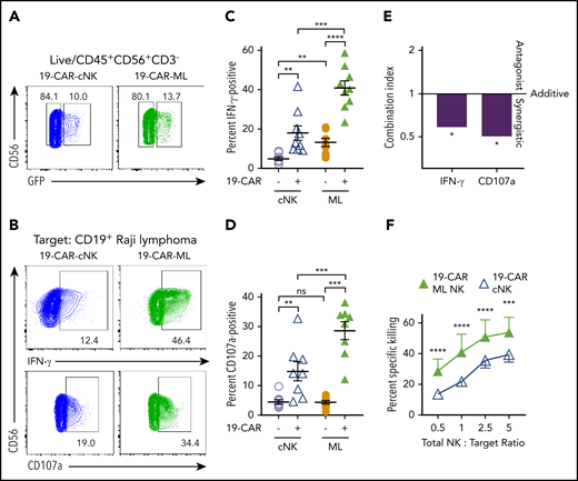 CAR-ML NK cells exhibit enhanced functional responses compared with CAR cNK cells. cNK cells or ML NK cells were transduced with 19-CAR lentivirus and effector functions against CD19+ Raji targets were assessed 7 days later. (A) Representative GFP gating strategy from cNK (blue) and ML NK cells (green) transduced with 19-CAR lentivirus. (B) Representative flow plots of GFP+ cNK or ML NK cells stimulated with Raji targets (total NK/T, 5:1) depicting IFN-γ (top) and degranulation (CD107a; bottom). (C) Summary IFN-γ production from panel B. (D) Summary degranulation from panel B (n = 8-9; 5 independent experiments). (E) Combination index values of IFN-γ and CD107a from panels C and D. (F) Summary data show mean ± SEM percentage of specific killing by 19-CAR cNK and 19-CAR-ML NK cells at the indicated total NK effector/target ratios (n = 4; 2 independent experiments). cNK cells, open lavender circle; ML NK cells, orange circle; 19-CAR cNK cells, blue open triangle, 19-CAR ML NK cells, green triangle. Data were compared using 2-way analysis of variance with Bonferroni’s multiple comparisons test (C-E) or linear mixed model with Bonferroni’s multiple comparisons test (F). *P < .05, **P < .01, ***P < .001, ****P < .0001. ns, no significance.