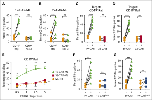 19-CAR-ML NK cells display enhanced antigen (CD19)–specific responses against tumor cell lines. (A-B) 19-CAR-ML NK cells were incubated with CD19+ Raji or CD19− Kas-3 target cells for 6 hours at a 5:1 total NK/T ratio. Summary data show percentage of IFN-γ (A) and CD107a+ positive cells (B) (n = 7; 3 independent experiments). (C-D) ML NK, 19-CAR-ML NK, and 33-CAR-ML NK cells were incubated with Raji for 6 hours at a 5:1 total NK/T ratio. Summary data show IFN-γ production (C) and CD107a expression (D) (n = 5-6; 4 independent experiments). (E) 19-CAR-ML NK, 33-CAR-ML NK, and ML NK cells were assessed for cytotoxicity against Raji cells in a 4-hour flow-based killing assay. Summary data show mean ± SEM percentage of specific killing by 19-CAR-ML NK cells (green triangle), 33-CAR-ML NK cells (red square), and ML NK cells (orange circle; n = 4; 3 independent experiments). (F) 19-CARtrunc-ML NK cells were incubated with Raji for 6 hours at 5:1 total NK/T ratio. Summary data show percentage of (F) IFN-γ (F) and CD107a (G) (n = 5-6; 3 independent experiments). Data were compared using paired Student t test (A-D,F-G) or linear mixed model with Bonferroni’s multiple comparisons test (E). *P < .05, **P < .01, ***P < .001, ****P < .0001. ns, no significance.