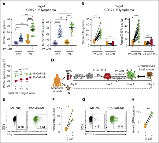 19-CAR-ML NK cells display enhanced responses to primary lymphoma targets in vitro. (A) 19-CAR cNK and 19-CAR-ML NK cells were incubated with CD19+ B-cell lymphoma tumor cells for 6 hours at 5:1 total NK/T ratio. Summary data shown as scatter dot plot of percentage of IFN-γ and CD107a+ cells with line at mean ± SEM (n = 12; 3 independent experiments). (B) 19-CAR-ML and 33-CAR-ML NK cells were incubated with CD19+ B-cell lymphoma tumors for 6 hours at a 5:1 total NK/T ratio. Summary data show percentage of IFN-γ and CD107a+ cells (n = 8-13; 4-6 independent experiments). (C) Summary primary lymphoma killing assay showing mean ± SEM percentage of specific killing by 19-CAR-ML and 33-CAR-ML NK cells at the indicated effector/target ratios (n = 3-4; 2-3 independent experiments). (D) Experimental schema. Briefly, PB samples were obtained from patients with B-cell lymphoma at day 0. NK cells were isolated, activated with IL-12, IL-15, and IL-18, and transduced with 19-CAR lentivirus. On day 7, 19-CAR-ML NK cells were incubated with autologous B-cell lymphoma tumor for 6 hours at a 5:1 Total NK/T ratio. (E,G) Representative bivariate flow cytometry plots show percentage of NK cells positive for IFN-γ (E) and CD107a (G) in response to autologous tumor targets. (F,H) Summary data show percentage of IFN-γ (F) and CD107a+ cells (H) of autologous 19-CAR-ML NK cells and control ML NK cells (n = 3 patients; 2 independent experiments). Data were compared using 2-way analysis of variance with Bonferroni’s multiple comparisons test (A,C) or paired Student t test (B,F,H). *P < .05, **P < .01, ***P < .001, ****P < .0001. ns, no significance.