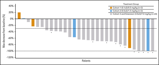 Best response according to tumor volume. The dashed line (−30%) represents clinically meaningful responses (30% reduction from baseline). *All assessments are based on CT scan, CRs are based on PET scans (metabolic assessment) and appear opaque on CT scans. NE, not evaluable; PR, partial response; SD, stable disease.